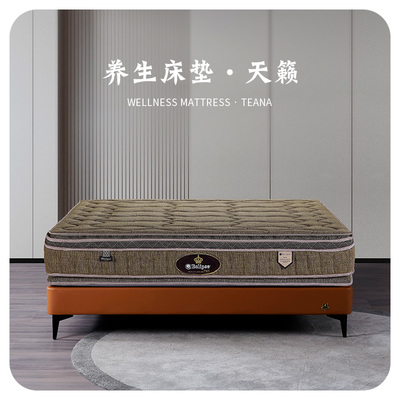 美国Eclipse伊丽丝床垫亮相深圳展，产品升级助力舒适健康睡眠